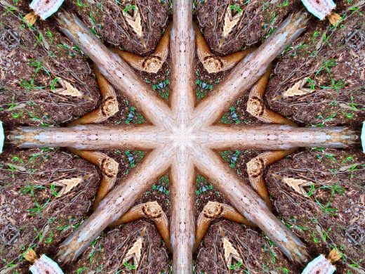 541114 (a): :1600x1200